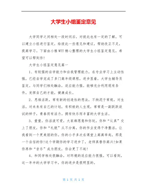 大学生小组鉴定意见