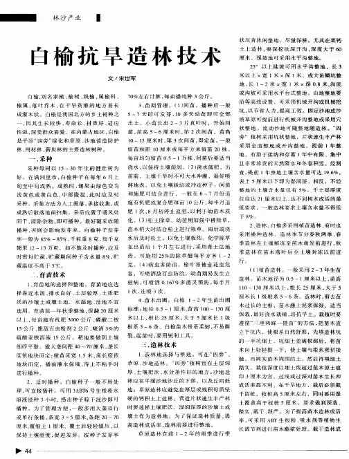 白榆抗旱造林技术