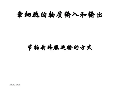公开课物质跨膜运输的方式 [优质PPT]