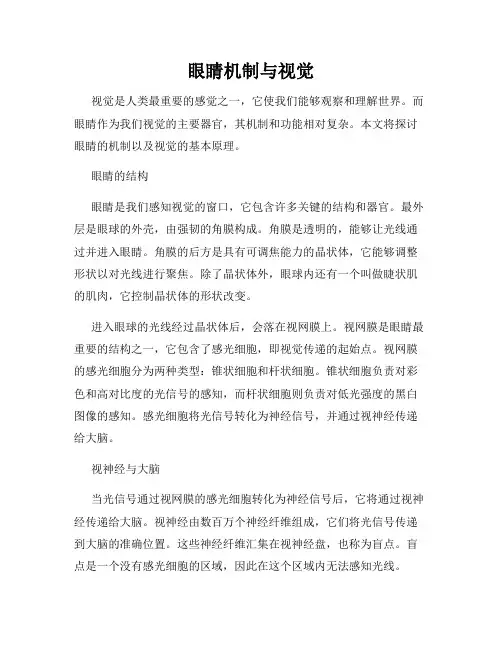 眼睛机制与视觉