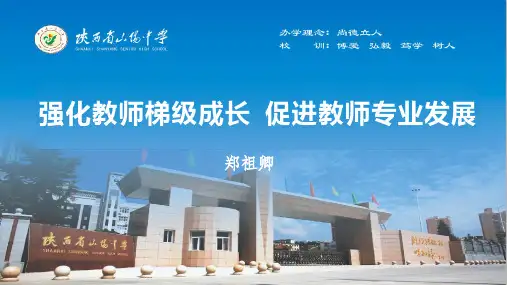 4山阳中学教师梯级发展
