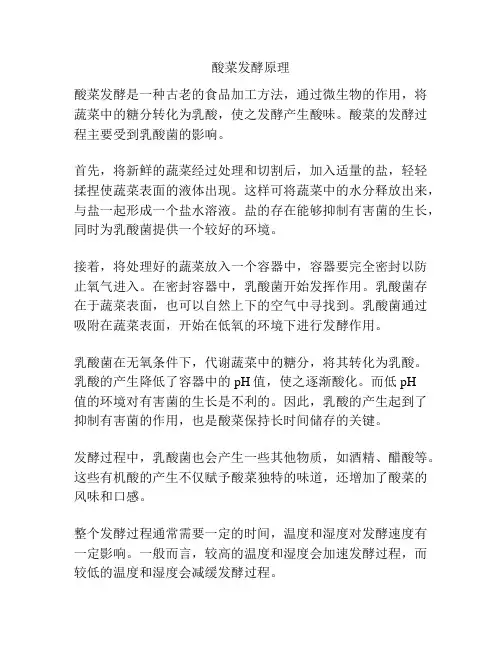 酸菜发酵原理 2