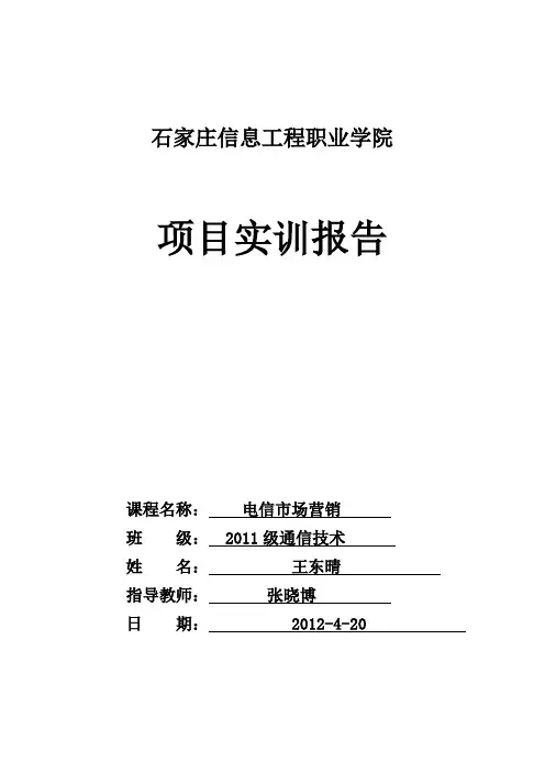 项目实训报告6