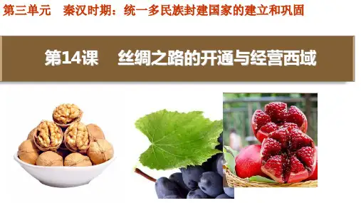 第14课  丝绸之路的开通与经营西域  课件七年级上册部编版历史
