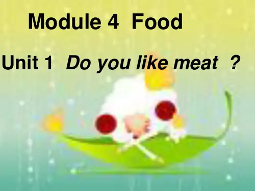 Doyoulikemeat精品PPT课件