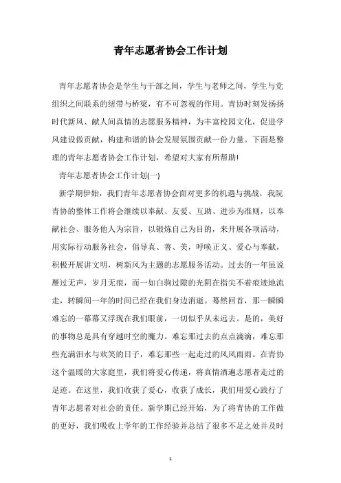青年志愿者协会工作计划