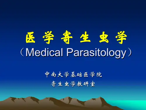 绦虫