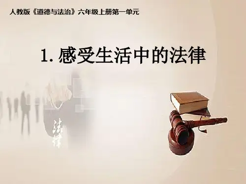 【部编版】新《感受生活中的法律》PPT-课件下载1