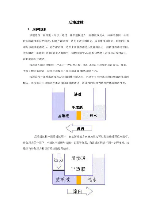 反渗透膜