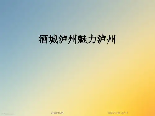 酒城泸州魅力泸州