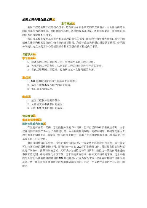 高考生物：基因工程和蛋白质工程