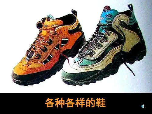 十二课：各种各样的鞋PPT课件