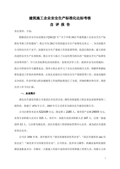 安全生产标准化自评报告