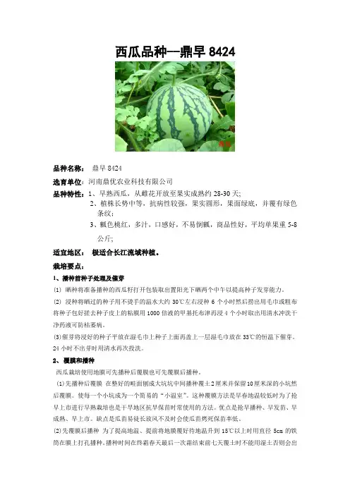 鼎优农业西瓜品种--鼎早8424