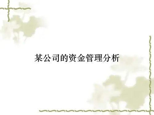 某公司的资金管理分析