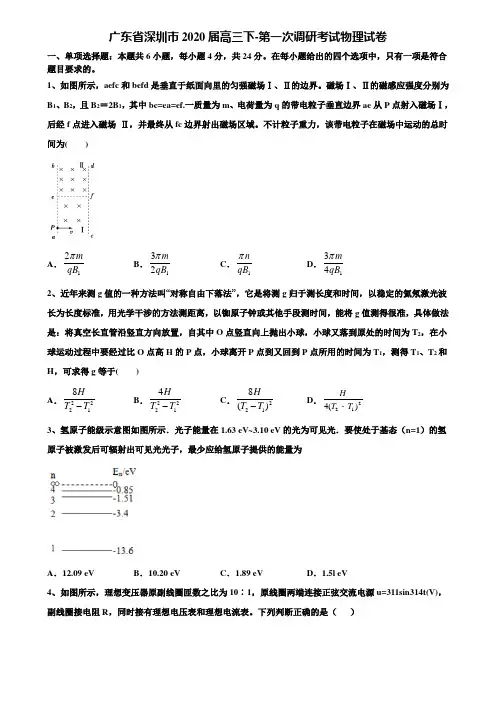 【附15套高考模拟卷】广东省深圳市2020届高三下-第一次调研考试物理试卷含解析