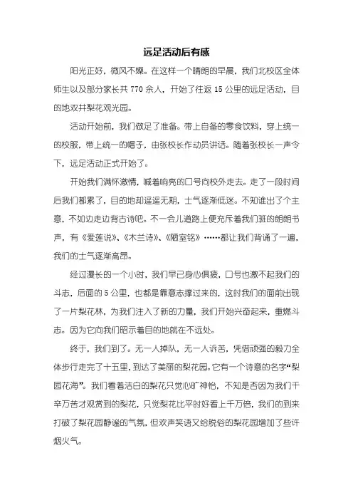 初一作文：远足活动后有感作文600字