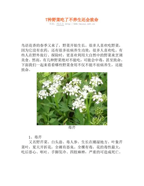 7种野菜吃了不养生还会致命