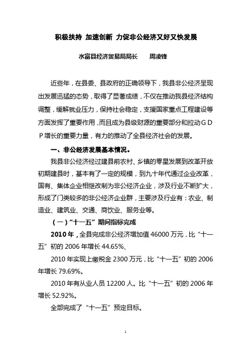 专稿《水富县非公经济发展情况报告》
