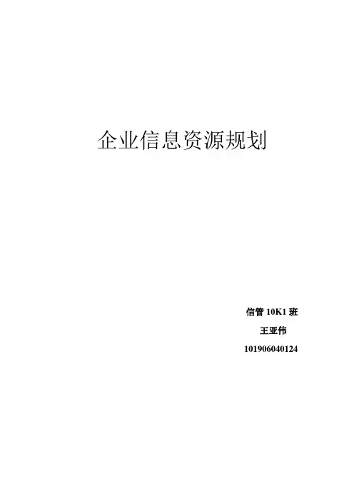 信息资源规划