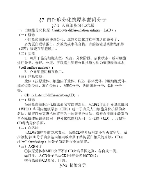 白细胞分化抗原和黏附分子