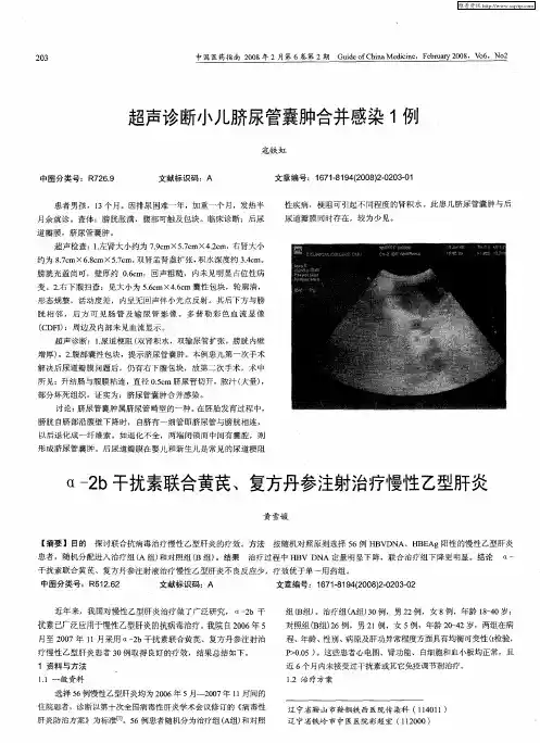 α-2b干扰素联合黄芪、复方丹参注射治疗慢性乙型肝炎