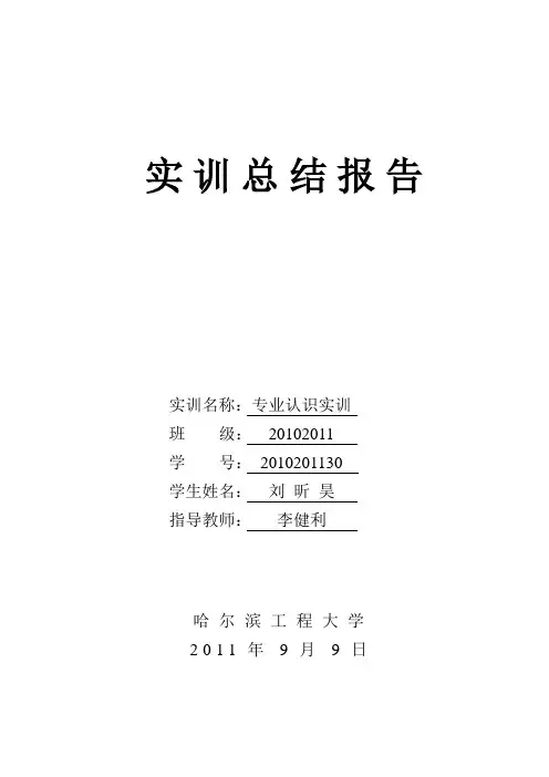 实训总结报告