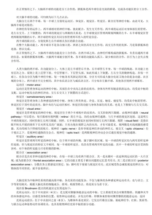 大脑功能
