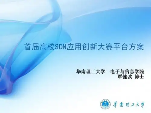 SDN大赛说明