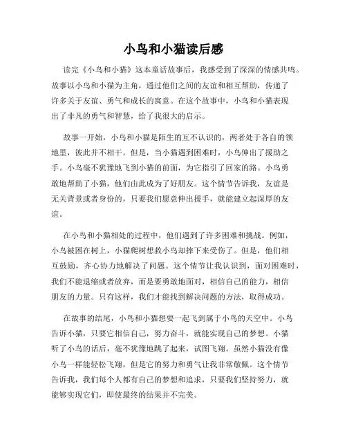 小鸟和小猫读后感