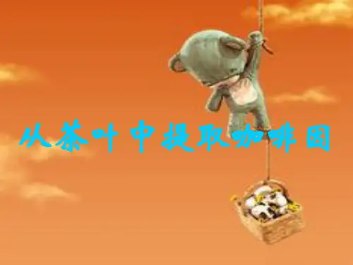 从茶叶中提取咖啡因