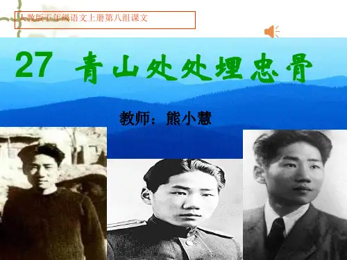 青山处处埋忠骨用课件.ppt