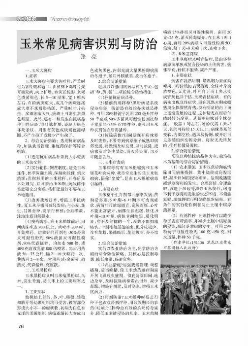 玉米常见病害识别与防治