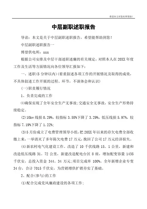 中层副职述职报告