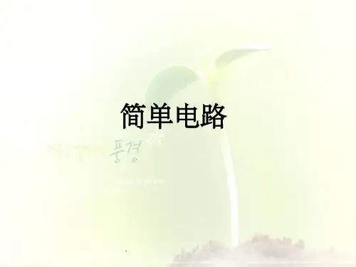 四年级科学下册(教科版)PPT课件