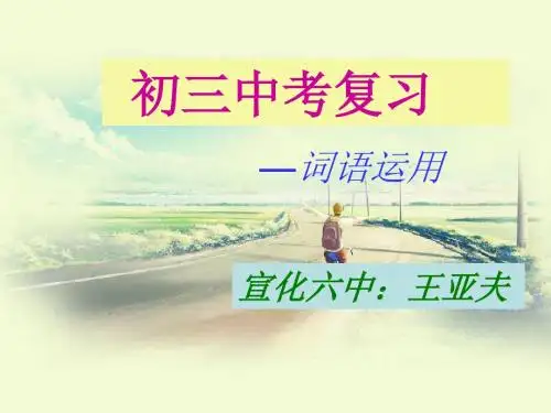 中考词汇专项复习