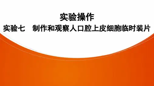 生物七年级上册人教版实验操作 实验7 制作和观察人口腔上皮细胞临时装片