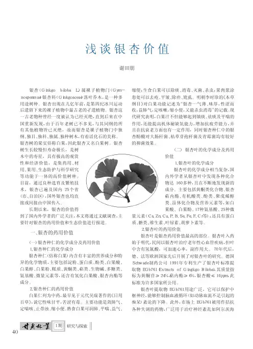 浅谈银杏价值