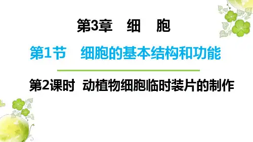 北师大版七年级上册2.3.1.2 动植物细胞的基本结构课件