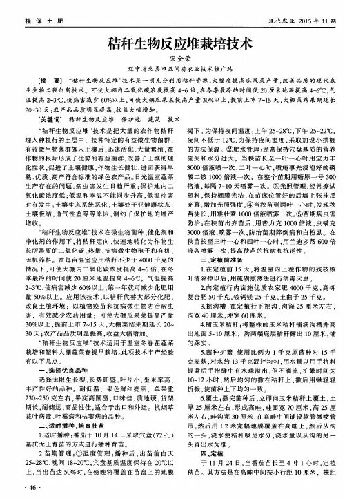 秸秆生物反应堆栽培技术