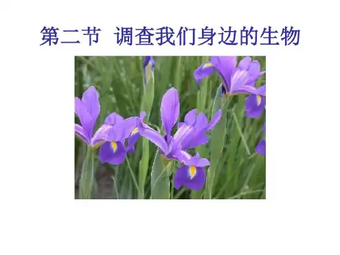 七年级生物调查我们身边的生物