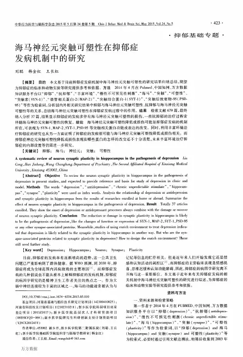 海马神经元突触可塑性在抑郁症发病机制中的研究