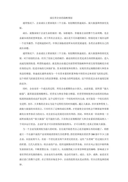 成长型企业的战略规划