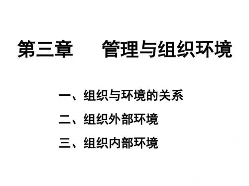 管理学原理 (3)