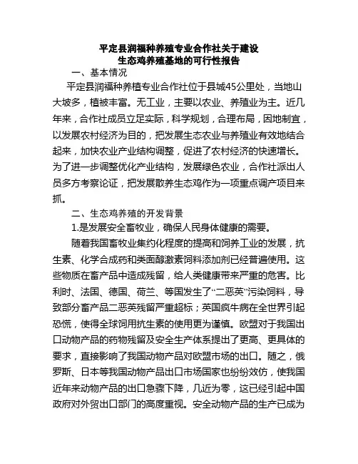 养鸡可行性报告