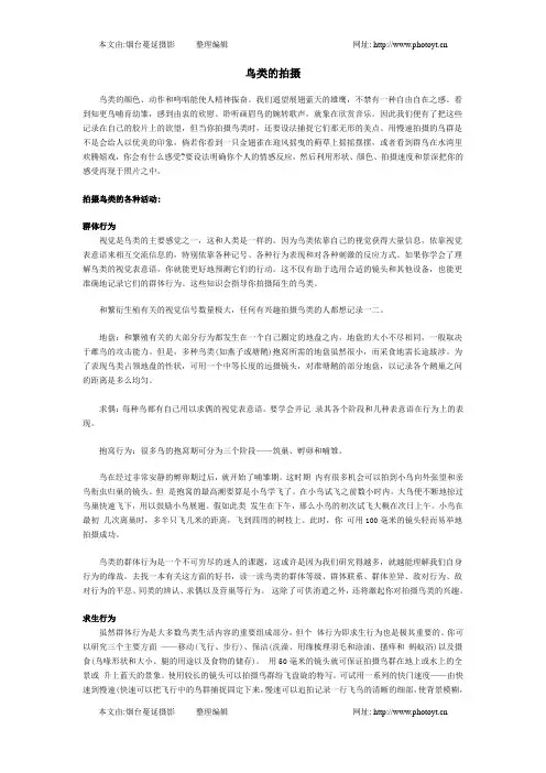 鸟类的拍摄技巧