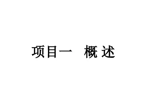项目一  概 述