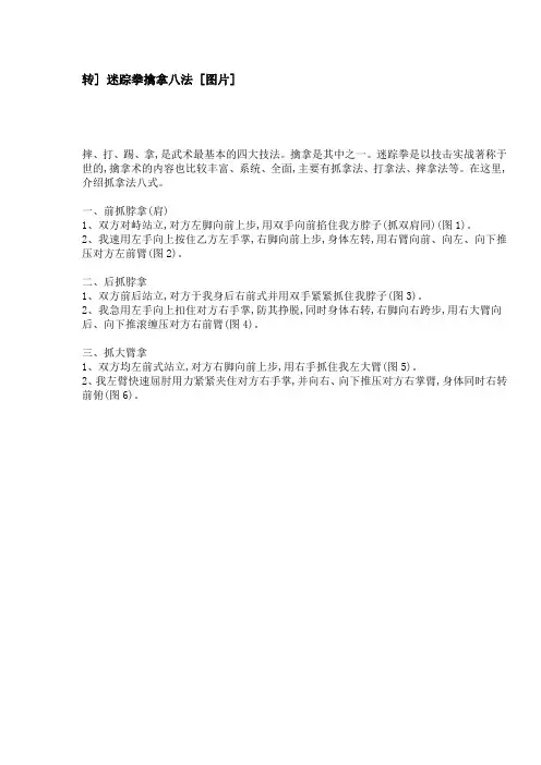 迷踪拳擒拿八法 [图片]
