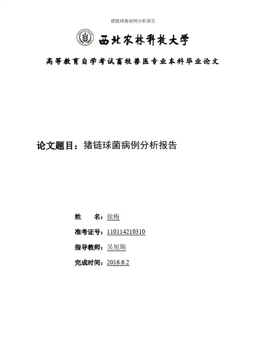 猪链球菌病例分析报告