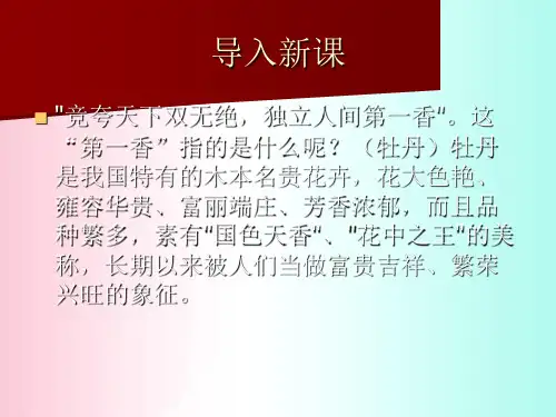 洛阳牡丹记ppt5 北京版